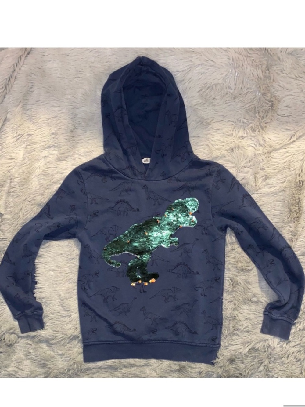 H&M Blue Hoodie with Sequin Dinosaur